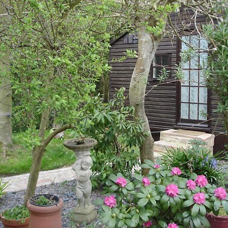 Hollydene Lodge Whitstable Zewnętrze zdjęcie