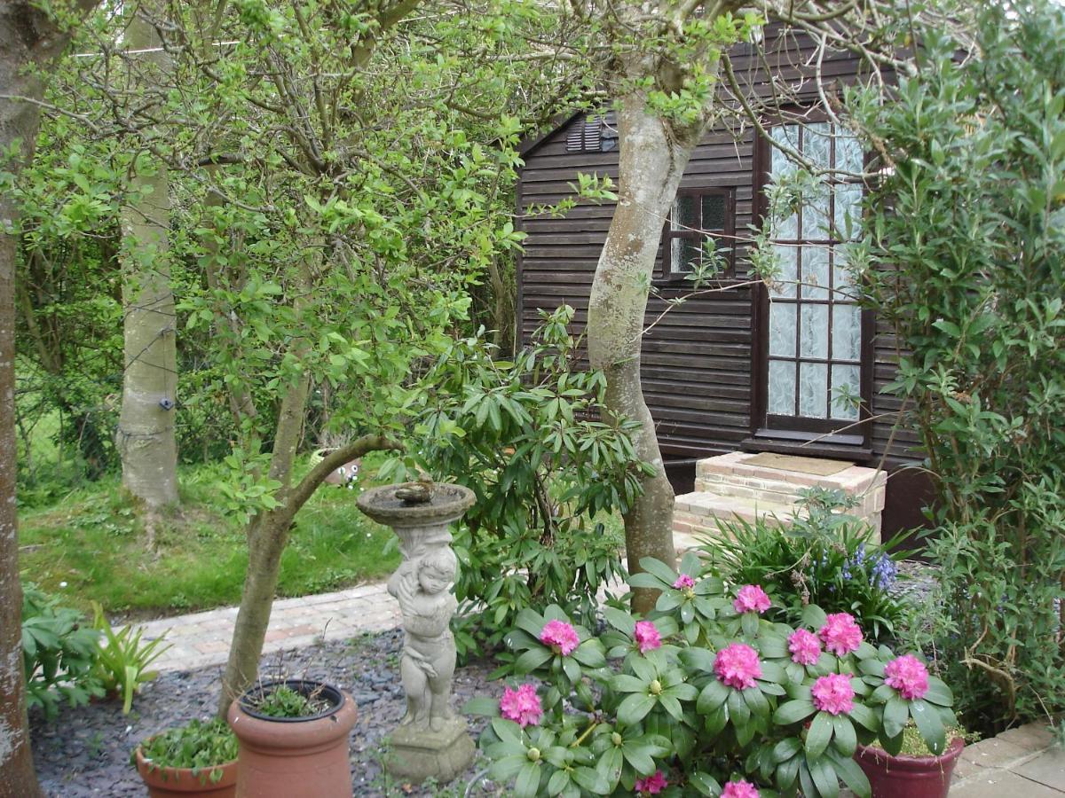 Hollydene Lodge Whitstable Zewnętrze zdjęcie